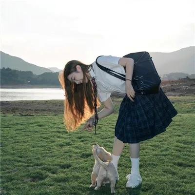 中华熊猫