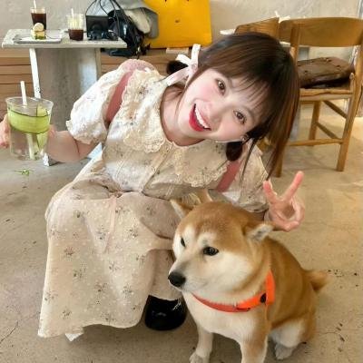 意外访客