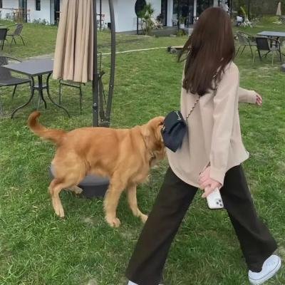 爱恋甜甜圈